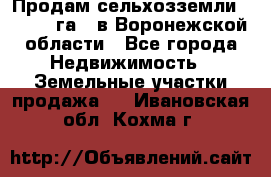 Продам сельхозземли ( 6 000 га ) в Воронежской области - Все города Недвижимость » Земельные участки продажа   . Ивановская обл.,Кохма г.